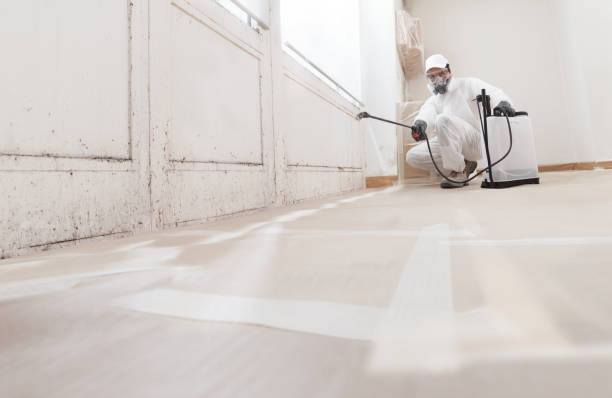 24/7 Emergency Mold Remediation experts in Warren, NJ